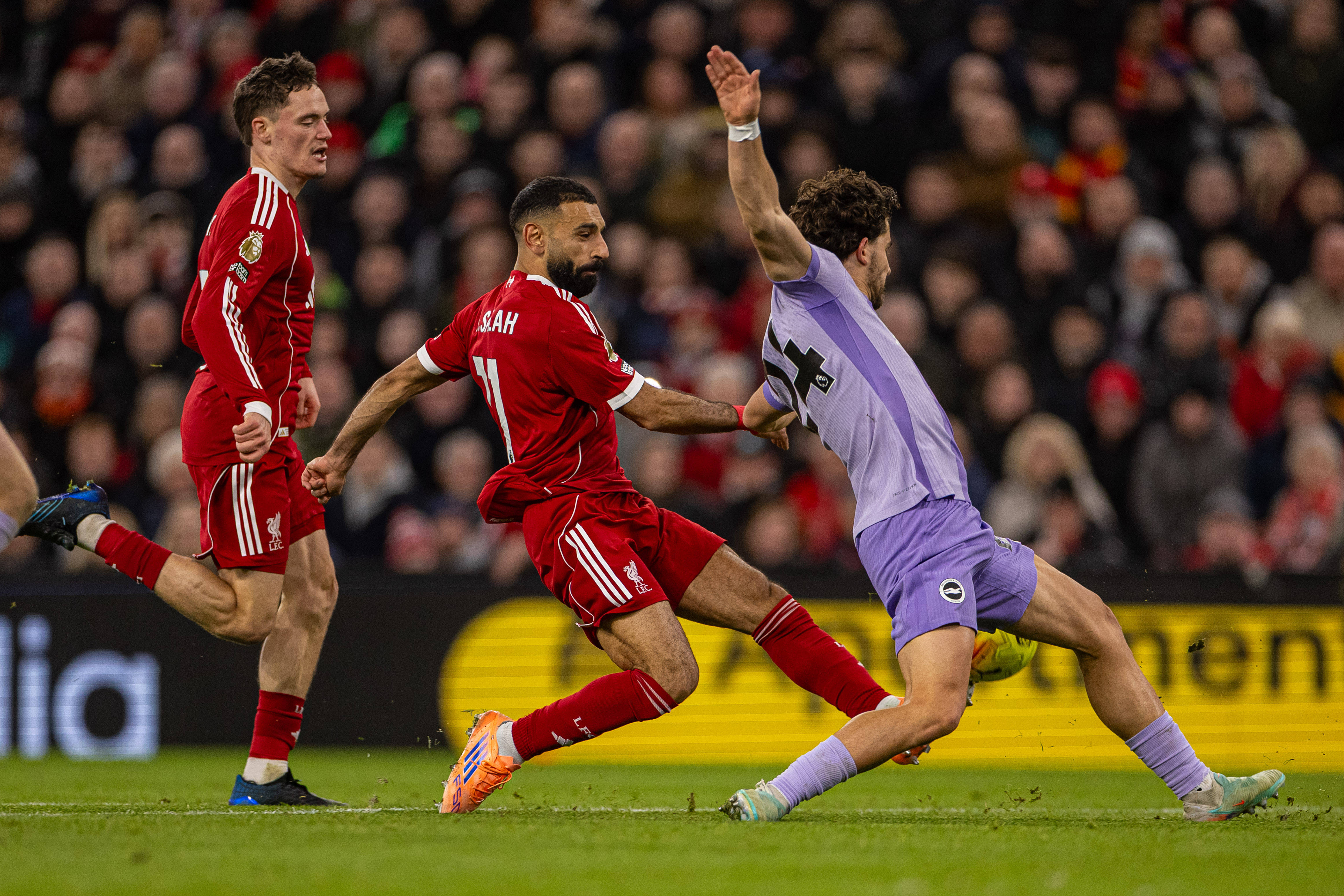 （体育）足球——英超：利物浦胜布莱顿