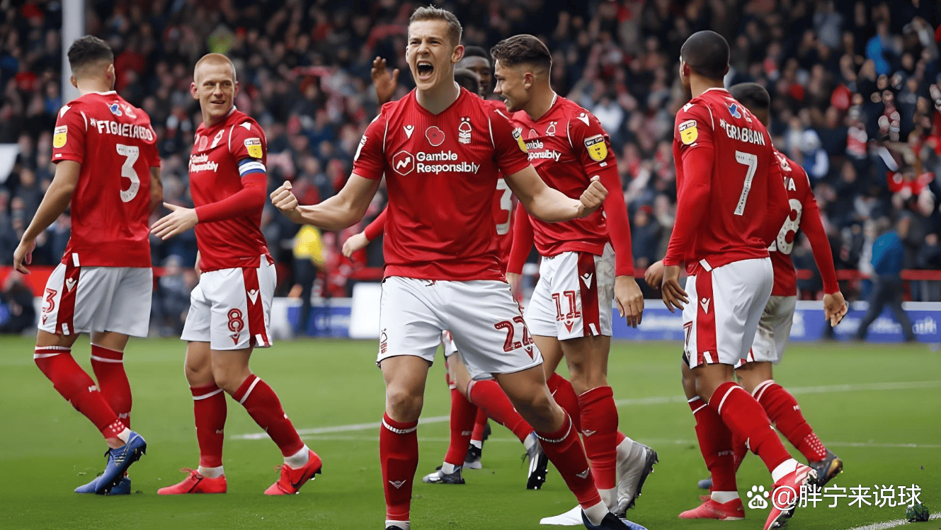 狼队VS布伦特福德：比分预测